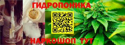 прущие крисы Чебоксары