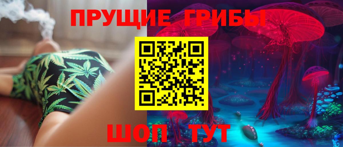 Морозовск  Галлюциногенные грибы Magic Shrooms  Вход с VPN 